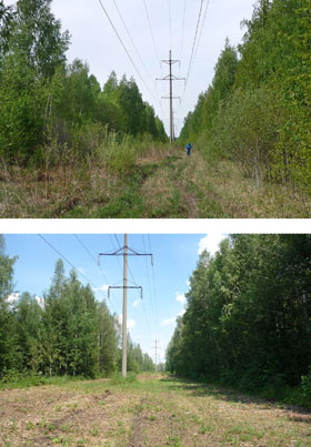 Определение мест повреждения кабельных линий 10/0,4кВ с последующим ремонтом (монтаж муфт, испытания) в Пинске